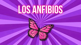 Los Anfibios 🦋  Vídeo Educativo para Niños [upl. by Eiboh503]