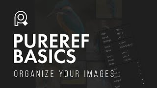 ORGANIZE YOUR REFERENCE IMAGES  Getting Started PureRef [upl. by Henson]