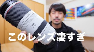 RF100500mm F4571の描写が凄すぎるので見てほしい【RF100500mm F4571 L IS USM amp EOS R3レビュー】 [upl. by Eggett]