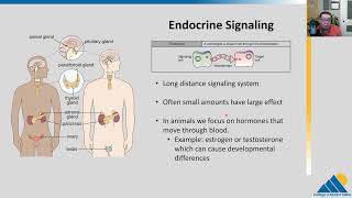 BIOL201 Ch91  Signaling Molecules and Cellular Receptors [upl. by Ahsetan]