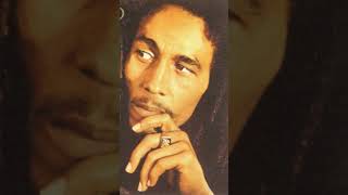 Bob Marley amp The Wailers  Buffalo Soldier music shortsfeed [upl. by Allicserp]