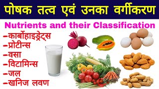 पोषक तत्व क्या है  पोषक पदार्थ का वर्गीकरण  poshak tatva  proteins vitamins fats minerals [upl. by Alaek]