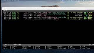 Web Exploit POC  Automotive20py [upl. by Galvin128]