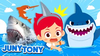 ¡Qué Miedo Vienen los Tiburones  Gran Tiburón Blanco Tiburón Mako y Más  JunyTony en español [upl. by Benco245]