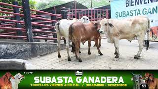 Lote 92 Subasta 11 de Octubre de 2024 [upl. by Nnad825]