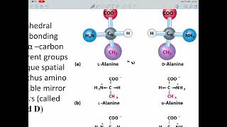 Biochemistry Lecture 2 [upl. by Pendleton969]