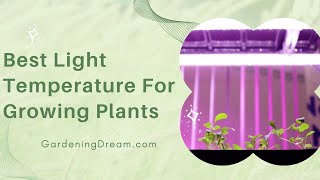 Best Light Temperature For Growing Plants [upl. by Connell577]