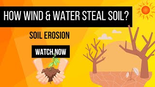 “Soil Erosion Explained 🌍 Why Does Soil Disappear” [upl. by Kristien]