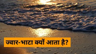 jwar bhata aane ka karan  jwar bhata kise khte hai  jwar bhata kyu aata hai [upl. by Lanita]