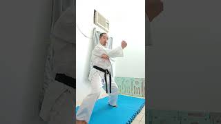 Instructional video of tekki sandankapkarate1901 [upl. by Ahsauqal]