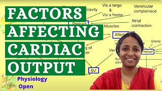 Factors affecting cardiac output  Cardiovascular system Physiology mbbs 1st year lecture [upl. by Suraved]