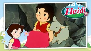 🗻 Las aventuras de Heidi y Peter en los Alpes  Heidi  Compilación 🏔🌹🌲 [upl. by Naimerej155]