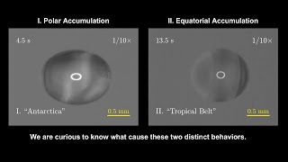 V2680950 Collective Particle Dynamics in Rotating Droplets Drying Under Acoustic Levitation [upl. by Eiralam]