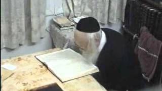 Rabbi Moreinu Ha Rav Elyashiv Shtaigging  Learning  Rare Video Footage [upl. by Astrid]