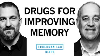 Medications That May Improve Memory amp Brain Function  Dr Mark DEsposito amp Dr Andrew Huberman [upl. by Ilram168]