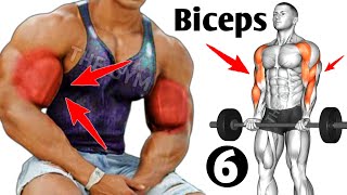 6 Bigger Biceps Exercises At Gym  Biceps Workout [upl. by Ahsiemal]