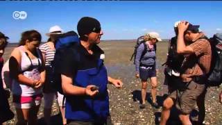 Wadden Sea Tidal Flats  with a Family from the USA  Discover Germany [upl. by Litnahs]