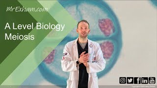 Meiosis and chromosome mutation  A Level Biology [upl. by Hayifas748]