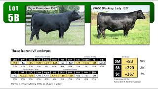 Lot 5B FHCC Blackcap Lady 1527 x Promotion embryos [upl. by Aiuqram]