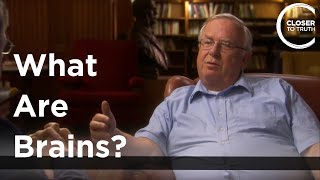 Mike Merzenich  What Are Brains [upl. by Eelesor]