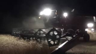 Cutting Wheat near Haxtun Colorado  July 2016 [upl. by Hanyaz]