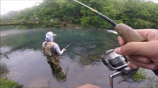 Maramec Spring Park Trout Fishing [upl. by Nerol731]