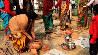 Tamil ladies busy making pongal on Kaannum Pongal [upl. by Rebane]