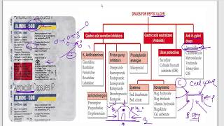 Amoxicillin  Azithromycin  Ciprofloxacin  Cefpodoxime  Moxifloxacin  Cotrimazole  Mechanism [upl. by Jenks56]