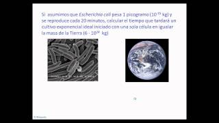 umh1399 Lec0022 Ecuaciones Crecimiento Microbiano [upl. by Ayimat]