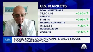 Smallcap midcap and value stocks look discounted even without rate cuts says Whartons Siegel [upl. by Vin]