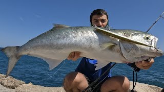 Pesca a spinning di grossi PREDATORI in un porto abbandonato [upl. by Crudden]