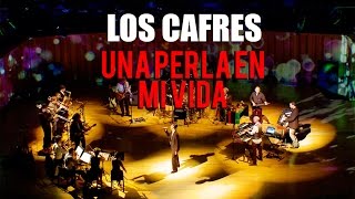 Los Cafres  Una perla en mi vida DVD quot25 años de Músicaquot video oficial [upl. by Naej125]