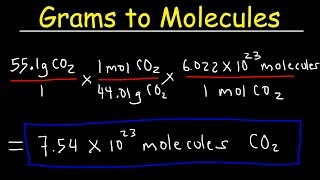 Grams to Molecules and Molecules to Grams Conversion [upl. by Hugo157]