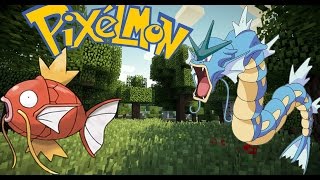 Magikarp Evolving into Gyarados at Level 20 on pixelmon [upl. by Ramey]