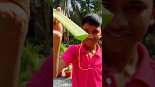 Lemon  Aloe Vera Mojito Tasty And Healthy Drink Recipe [upl. by Arvin]