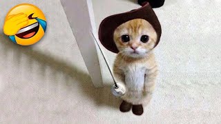 Funniest Cats and Dogs 🐶🐱  Funny Animal Videos 9 [upl. by Woodley]