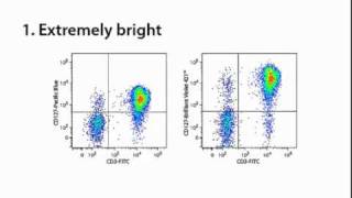 Brilliant Violet Antibody Conjugates [upl. by Ntsuj627]