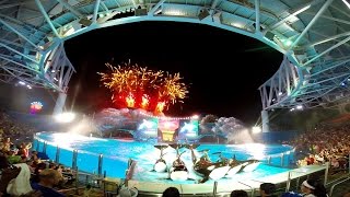 Shamus Celebration Highlights  Light Up the Night at SeaWorld Orlando [upl. by Duval]