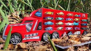 23 various Cars minicar amp Red Big trucks｜Drive in a park near the forest [upl. by Palecek875]