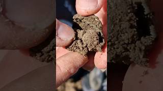 OMG INSIDE THE MUD BALL 🤯 gold treasure ring coin metaldetecting treasurehunting [upl. by Leandre]