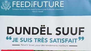 🛑🛑Casamance Plus de 600000 Ha de terre sont affectées par le Sel [upl. by Sherburne]