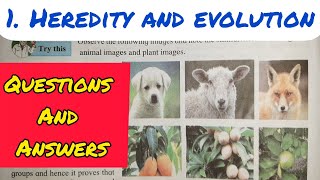 10th Std  Science 2  Chapter 1 HEREDITY AND EVOLUTION QUESTIONS AND ANSWERSEXERCISE  SSC [upl. by Pris]