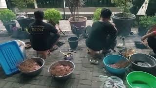 Sate Jatibarang di THHK tegal Klenteng Tegal [upl. by Emawk]