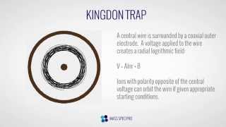 Kingdon Trap [upl. by Erde]