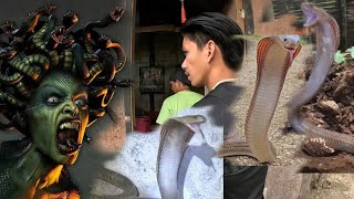 TATLONG COBRA SA BAHAY NI MEDUSA [upl. by Ojimmas982]