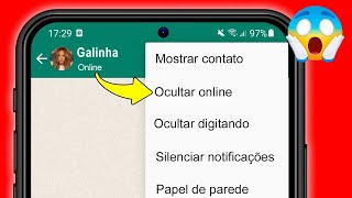 COMO TIRAR O ONLINE NO WHATSAPP APENAS PARA UM CONTATO [upl. by Snell]