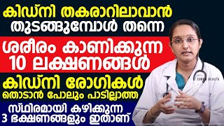 കിഡ്നി തകരാറിലാവാൻ തുടങ്ങുമ്പോൾ തന്നെ ശരീരം കാണിക്കുന്ന 10 ലക്ഷണങ്ങൾ  Kidney Desease Dr Priya [upl. by Atsillac211]