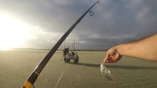 Fall fishing at Seabrook Island SC [upl. by Trutko]