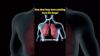 How does longterm smoking harm the lungstobacco hazard health change youtube foryou fyp [upl. by Araldo]