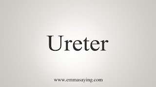 How To Say Ureter [upl. by Annaear]